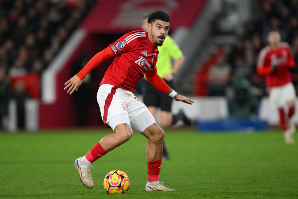 這一理念 這一理念