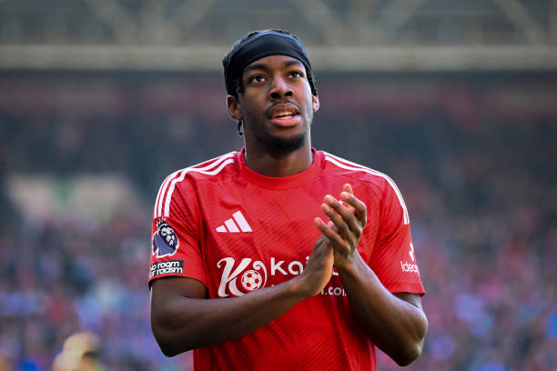 安切洛蒂的 安切洛蒂的