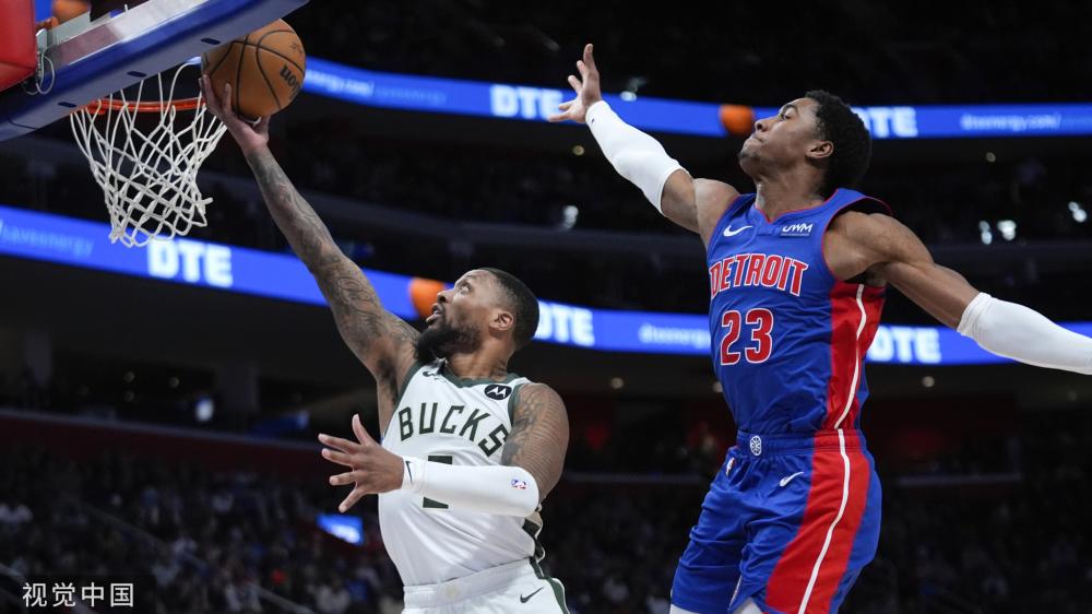 的多样性和 的多样性和