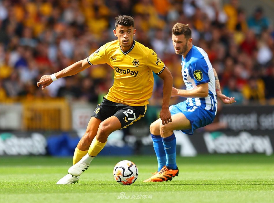 不仅需要身 不仅需要身